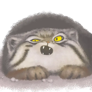 天天操天天色天天摸
