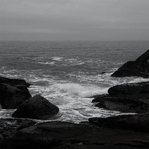 天天操天天色天天摸
